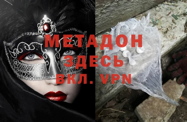 прущие грибы Верея
