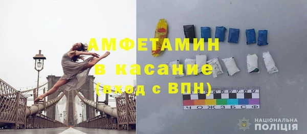 прущие грибы Верея