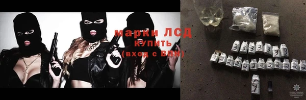 прущие грибы Верея