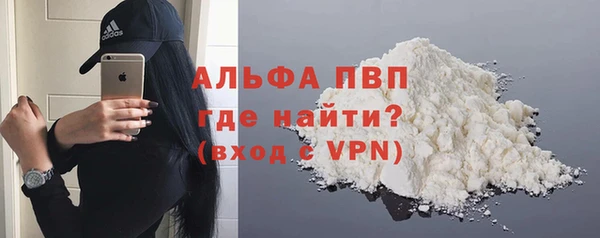прущие грибы Верея