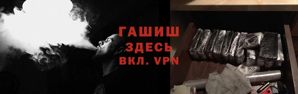 прущие грибы Верея