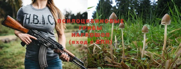 кристаллы Сатка
