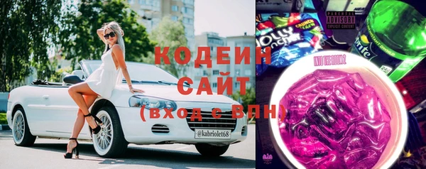 прущие грибы Верея
