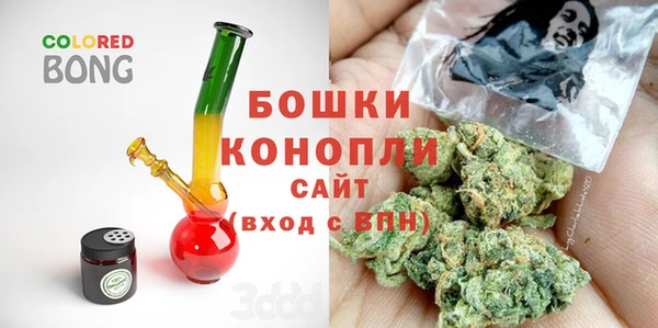 прущие грибы Верея