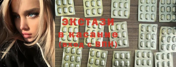 прущие грибы Верея