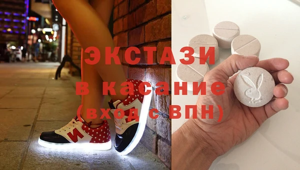 прущие грибы Верея