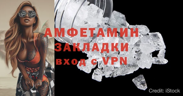 прущие грибы Верея