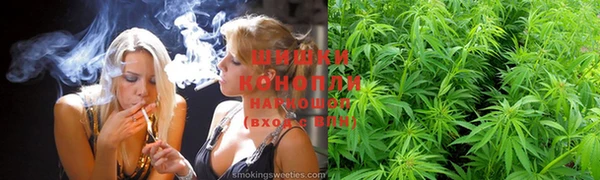 прущие грибы Верея