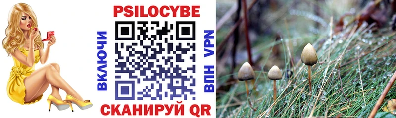 как найти закладки Ирбит Псилоцибиновые грибы Magic Shrooms