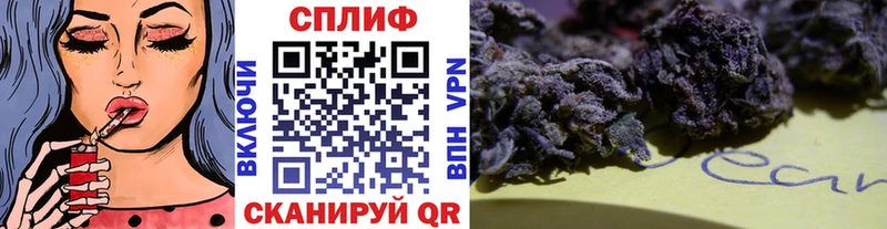 где продают   Ирбит  Бошки марихуана SATIVA & INDICA 